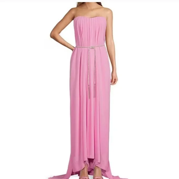 Antonio Melani  Capsule Stacy Chiffon Dress size 4 - Picture 6 of 12